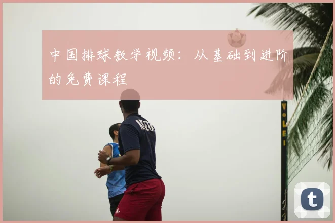 中国排球教学视频:从基础到进阶的免费课程