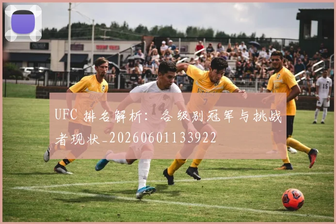 UFC 排名解析：各级别冠军与挑战者现状_20260601133922