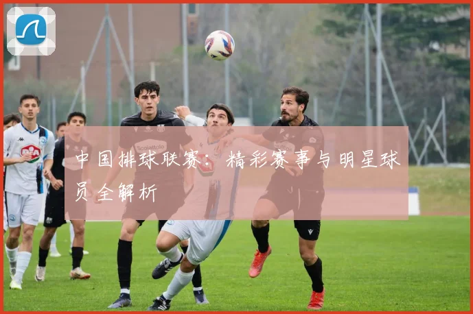 中国排球联赛:精彩赛事与明星球员全解析