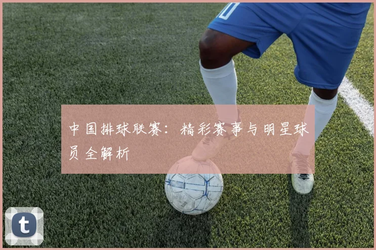 中国排球联赛:精彩赛事与明星球员全解析