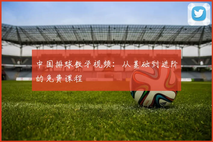 中国排球教学视频:从基础到进阶的免费课程